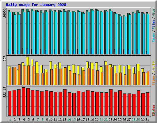 Daily usage for January 2023
