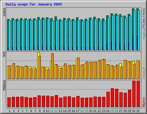 Daily usage for January 2025