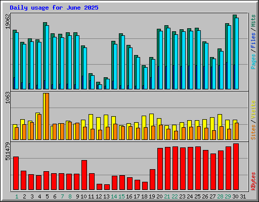 Daily usage for June 2025