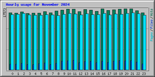 Hourly usage for November 2024