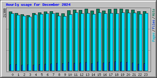 Hourly usage for December 2024