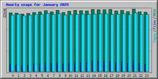 Hourly usage for January 2025