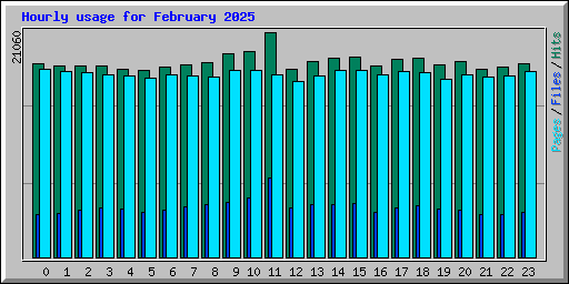 Hourly usage for February 2025