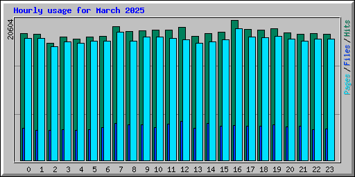 Hourly usage for March 2025
