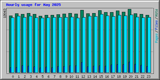 Hourly usage for May 2025