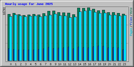 Hourly usage for June 2025