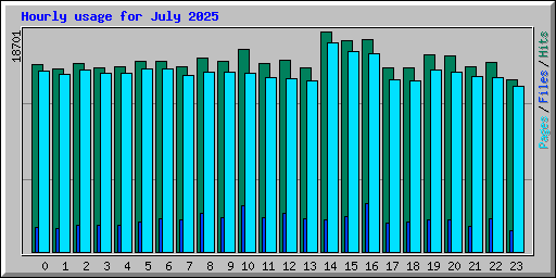 Hourly usage for July 2025