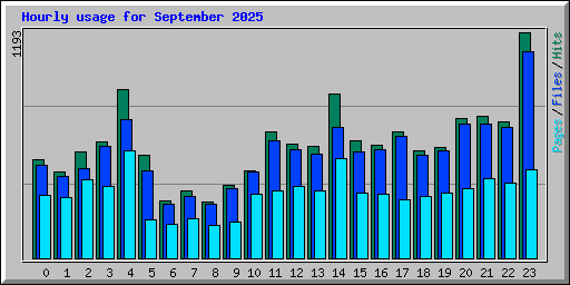 Hourly usage for September 2025