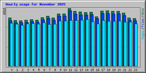 Hourly usage for November 2025