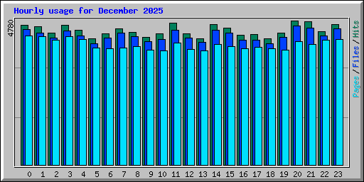 Hourly usage for December 2025