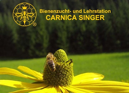 www.wirtskultur-purgstall.at-bienenzucht03.jpg