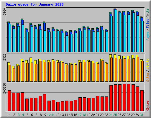 Daily usage for January 2026