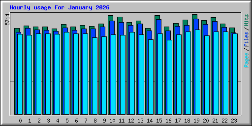 Hourly usage for January 2026