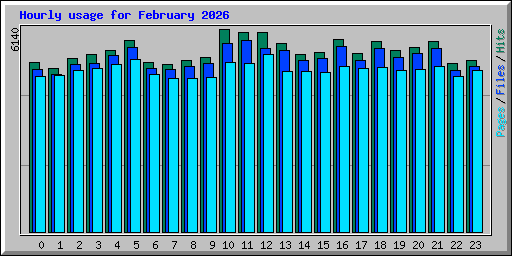 Hourly usage for February 2026
